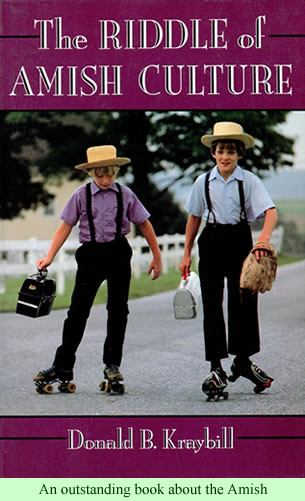 The Riddle of Amish Culture