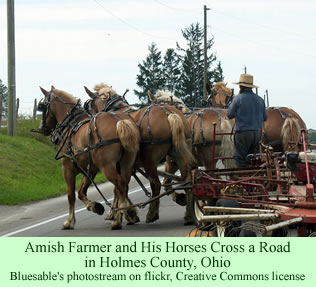 Amish farmer