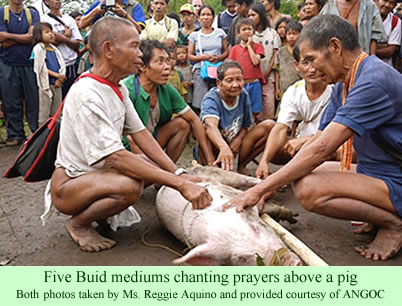 Buid pig ritual