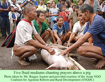 Buid pig ritual