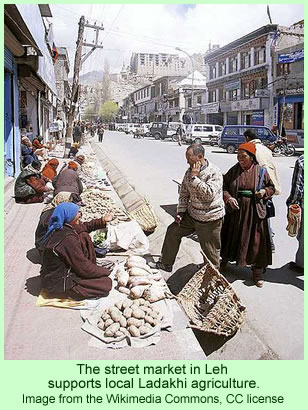 Leh market
