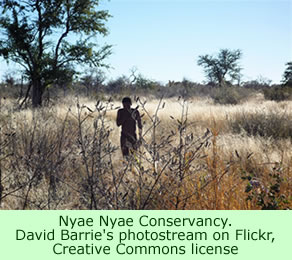 Nyae Nyae Conservancy