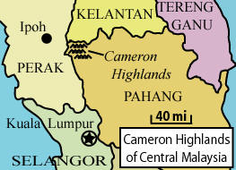 Cameron Highlands