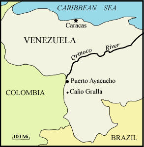 Cano Grulla