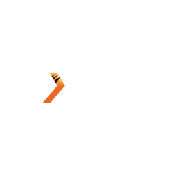 โลโก้ NS